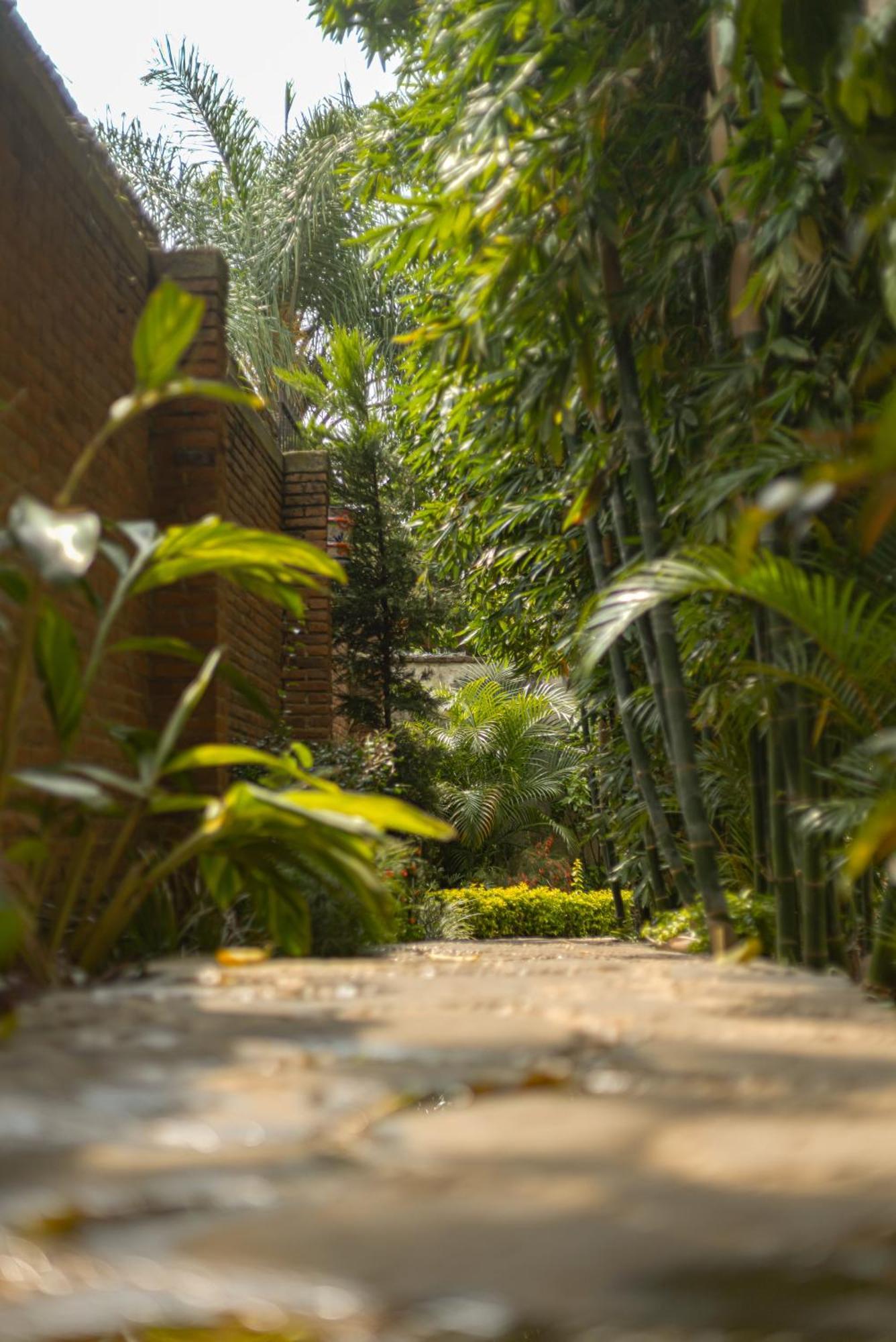 Hotel Boutique Casa Copal Ajijic Exterior foto
